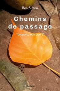Chemins de passage - Tome 2