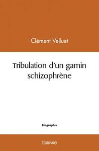 Tribulation d'un gamin schizophrène