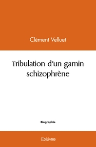 Tribulation d'un gamin schizophrène