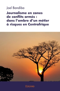 Journalisme en zones de conflits armés : dans l'ombre d'un métier à risques en Centrafrique