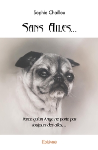 Sans Ailes...