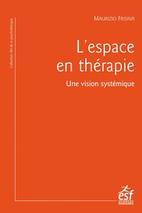 L'espace en thérapie, Une vision systémique