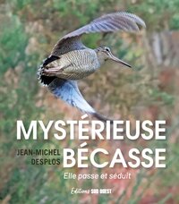 Mystérieuse bécasse