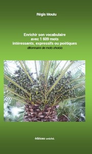 ENRICHIR SON VOCABULAIRE AVEC 1609 MOTS INTERESSANTS, EXPRESSIFS OU POETIQUES - DICTIONNAIRE DE MOTS
