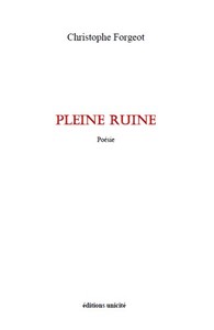 Pleine ruine