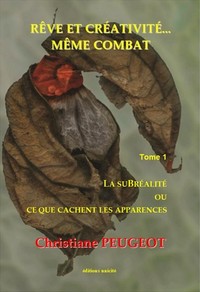 La subréalité ou Ce que cachent les apparences - en sciences, en philosophie, en religions, en ésotérisme...