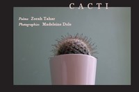 Cacti