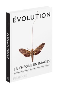 EVOLUTION