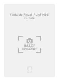 FANTAISIE PLEYEL (PUJOL 1095) GUITARE