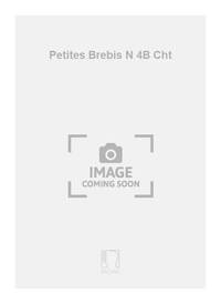 PETITES BREBIS N 4B CHT CHANT
