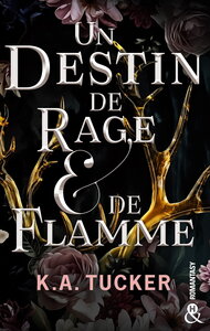 UN DESTIN DE RAGE & DE FLAMME - UNE ROMANTASY FASCINANTE, UN AMOUR INTERDIT TOUT EN TENSION