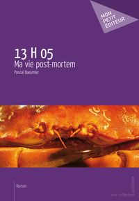 13 H 05