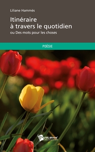 ITINERAIRE A TRAVERS LE QUOTIDIEN - OU DES MOTS POUR LES CHOSES