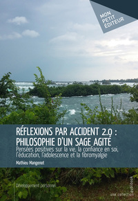 Réflexions par accident 2.0 - philosophie d'un sage agité