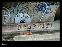 Graffiti of Vienna