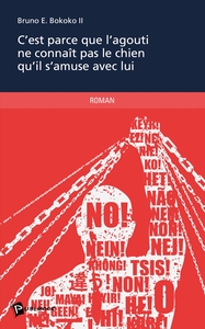 C'est parce que l'agouti ne connaît pas le chien qu'il s'amuse avec lui
