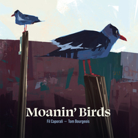 MOANIN  BIRDS - AUDIO