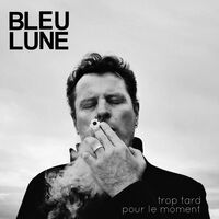 TROP TARD POUR LE MOMENT - AUDIO