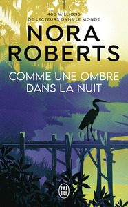 Comme une ombre dans la nuit