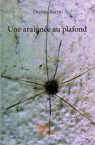 Une araignée au plafond