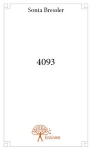 4093