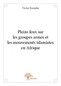 Pleins feux sur les groupes armés et les mouvements islamistes en afrique