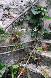 L'Inexplicable