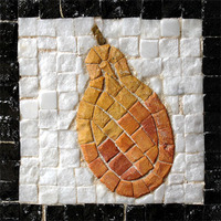 Kit Mosaîque complet 100 naturelles  Poire  MINI 12X12 MOSAIKIT