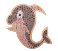 Kit Mosaîque complet 100 naturelles  Dauphin Cadre spécial   MOSAIC BOX SPECIAL