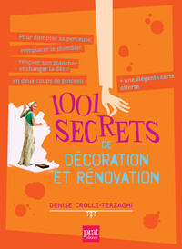 1001 secrets de decoration et renovation ned