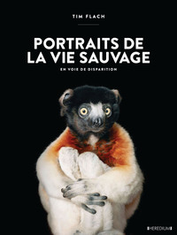 Portraits de la vie sauvage en voie