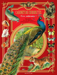 Cabinet de curiosites les animaux