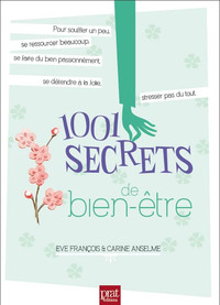 1001 secrets de bien etre ned