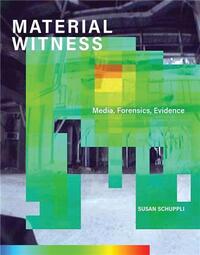 MATERIAL WITNESS /ANGLAIS