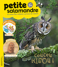 N°21 La petite salamandre