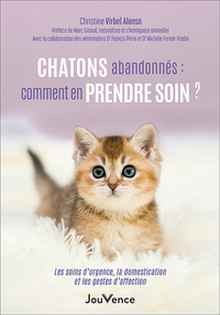 Chatons abandonnés : comment en prendre soin ?