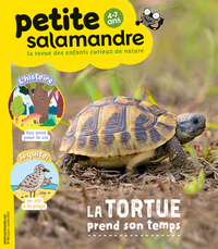 N°24 La petite salamandre