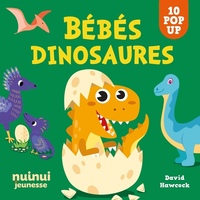 SAISISSANTS POP-UP - BEBES DINOSAURES NE
