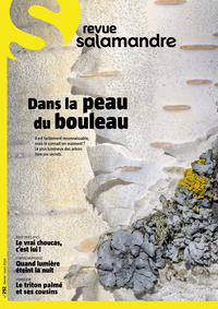 Revue la salamandre n°292