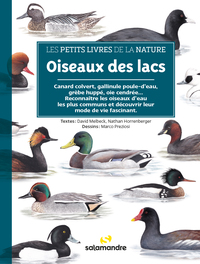OISEAUX DES LACS