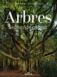 Arbres, secrets de géants