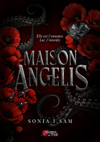 Maison Angelis