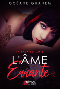 La saga des âmes - Tome 02 L'âme errante