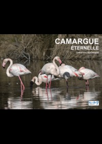 CAMARGUE ETERNELLE