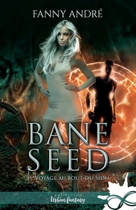 BANE SEED - T03 - VOYAGE AU BOUT DU SIDH - BANE SEED, T3