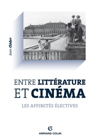 ENTRE LITTERATURE ET CINEMA - LES AFFINITES ELECTIVES