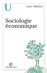 SOCIOLOGIE ECONOMIQUE - ETAT, MARCHE ET SOCIETE DANS LE CAPITALISME MODERNE