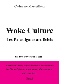 WOKE CULTURE, LES PARADIGMES ARTIFICIELS - UN SOFT POWER PAS SI SOFT...