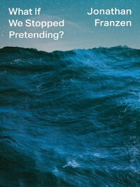 WHAT IF WE STOPPED PRETENDING
