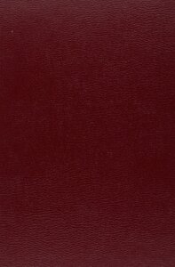 La mémoire du texte - essais de poétique classique